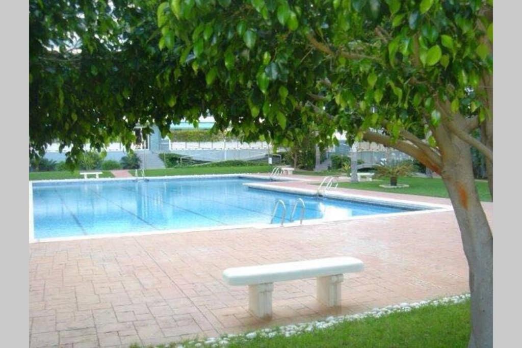 Apartamento Athenea Gandía Exterior foto